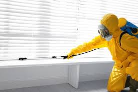 Best Pest Control for Restaurants and Food Service  in Mammoth, AZ